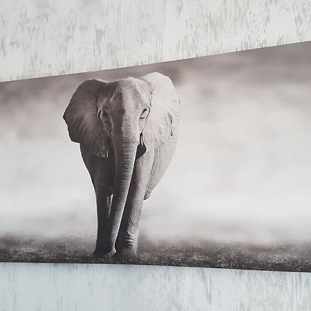 Casa Magnolia Hotel Douazeci si Trei August Luaran gambar